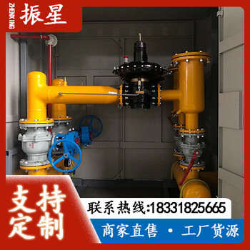 振星CNG落地式燃?xì)庹{(diào)壓柜燃?xì)庹{(diào)壓器燃?xì)庹{(diào)壓箱燃?xì)庹{(diào)壓撬