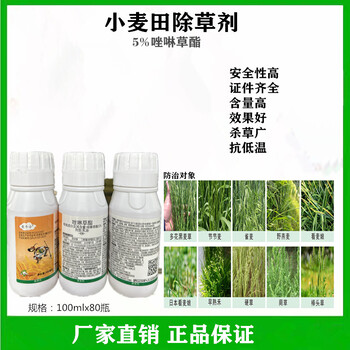 小麥田除草劑防除多花黑麥草5%唑啉草酯效果顯著