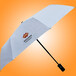 雨傘廠廣州荃雨美雨傘廠國家能源集團廣告?zhèn)? />
							</a>
						</div> 
					
						<div><h3><a  target=