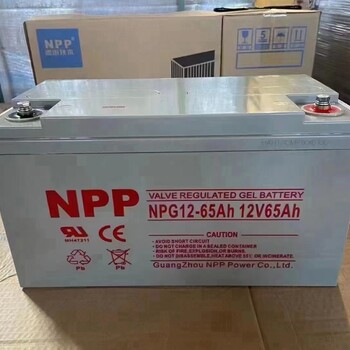 海珠耐普NPP蓄电池更换｜不间断电源维修