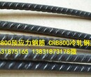 CRB800预应力钢筋CRB660预应力钢筋CRB550冷轧带肋钢筋图片