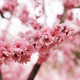 5698.jpg_wh1200