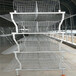 层叠式3层肉鸡笼棚长60米宽18米可养2万只肉鸡养殖设备