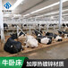 畜牧养殖设备奶牛定位栏热镀锌牛卧床2150型
