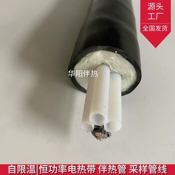 华阳生产加工恒温双芯伴热管线KDB-S6-C00防爆烟气在线分析仪器