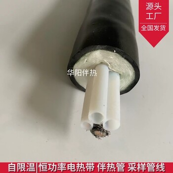 华阳生产一体伴热管线KLTL061防爆耐腐烟气在线监测系统