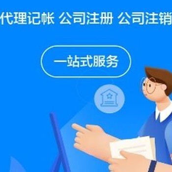 广州公司注销，私人有限公司注销，营业执照清算报告