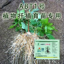 生根粉ABT1号苗圃扦插生根双吉尔GGR6号生根植物树木移栽扦插育苗快速