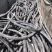 湖州本地回收电缆线提供回收价格