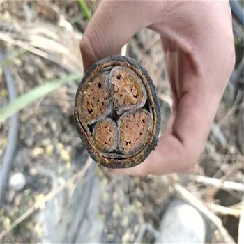 芜湖泰山电线电缆回收（芜湖）回收旧电缆