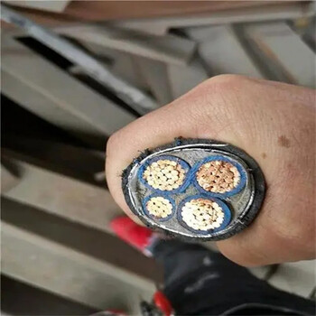 長寧大宇低壓電纜線回收