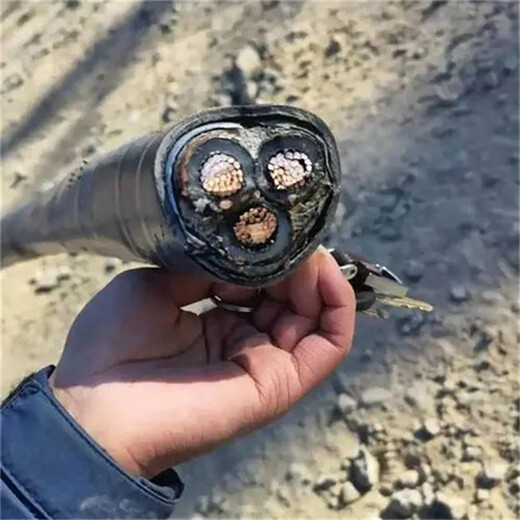 南京電纜回收江蘇上上電纜回收