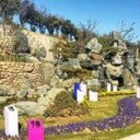 洛陽仙鶴陵園哪個墓區(qū)風(fēng)水好