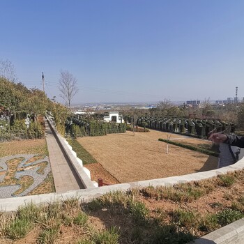 偃師北邙陵園遠不遠