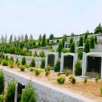偃師北邙陵園遠不遠
