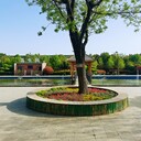 洛陽(yáng)九皇仙府陵園周邊有廠房飛機(jī)場(chǎng)好不好