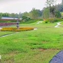 洛陽(yáng)南山陵園2025年脫穎而出，環(huán)境優(yōu)美，魂安之所