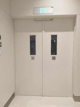 奉賢區鋼質防火門價格上海逸盾超大防火門定制廠家