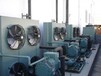 北京二手制冷机组回收厂家拆除溴化锂机组设备公司