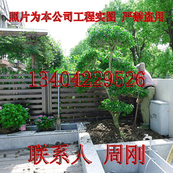 苏州别墅景观设计、苏州庭院设计公司、花园绿化设计、庭院景观