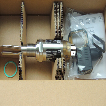 德國E+H恩德斯豪斯FTL31-14X8/0音叉液體限位開關替代FTL20-0120
