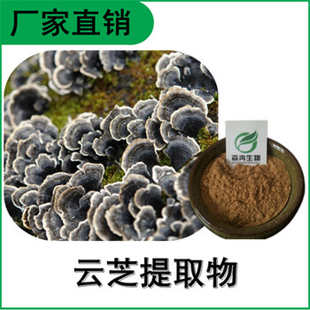 森冉生物云芝提取物云芝多糖灰芝提取物