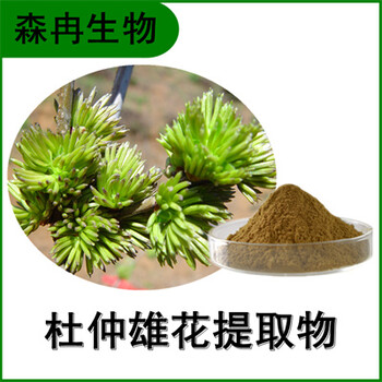 森冉生物杜仲雄花提取物杜仲雄花粉植物提取原料粉