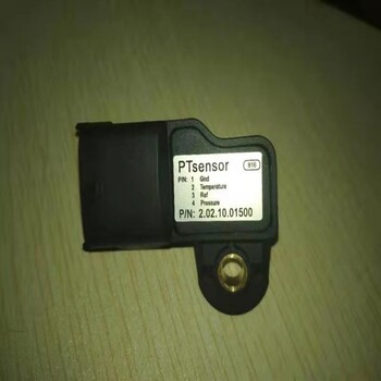 曼海姆CG132燃?xì)獍l(fā)電機(jī)組火花塞12453548