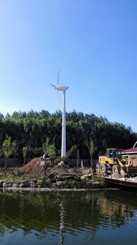 風(fēng)力風(fēng)力發(fā)電機(jī)10kw抗臺風(fēng)的足功率的風(fēng)機(jī)控制器逆變器