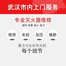 灌粉武汉东湖高新消防器材灭火器检测维修