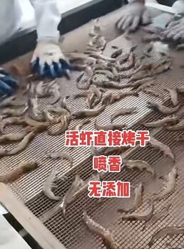 大蝦烘烤機器微波烤蝦設備烤蝦烤魚(yú)微波設備