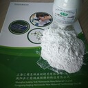 匯精納米活性碳酸鈣306橡塑補(bǔ)強(qiáng)增強(qiáng)粒徑小于100nm