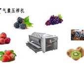 供应大型蔓越莓榨汁机蔓越莓压榨机蔓越莓果汁加工设备
