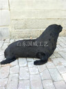 仿真海豹科教模型博物館海豹標本修復(fù)護理
