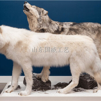 生態仿真動物模型