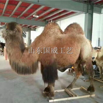 生態仿真動物模型