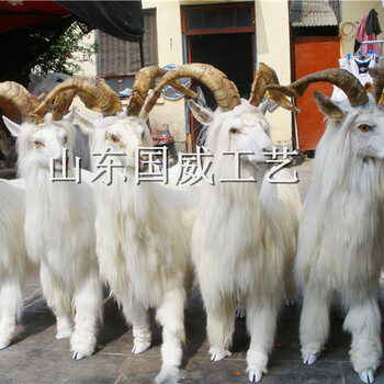 生態仿真羊模型羊標本展覽模型