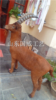 仿真山羊模型訂制博物館黃羊盤羊標本修復護理