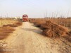 山東李滄區(qū)榆樹苗批發(fā)基地廠家出售
