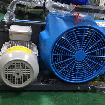 BAUER300-TE正壓式空氣呼吸器充填泵