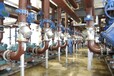 专业机械设备维修 维修电机 水泵 各种消防水泵