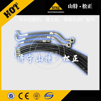 供應(yīng)小松裝載機(jī)配件WA600制動(dòng)泵總成421-35-13303原廠配件
