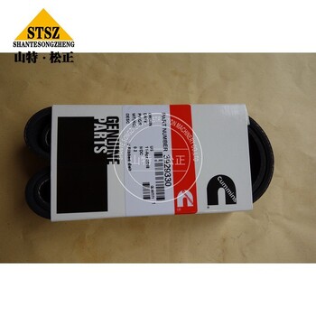 常年供應(yīng)山推推土機(jī)SD90-5發(fā)電機(jī)皮帶3094909原裝原廠配件