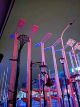 智慧市政路灯厂家非标高杆灯异型景观灯定制
