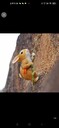 玻璃鋼兔子廠家仿真動物燈非標(biāo)定制仿真動物燈