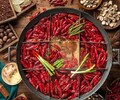 望牛墩老重庆底料厂家批发供应