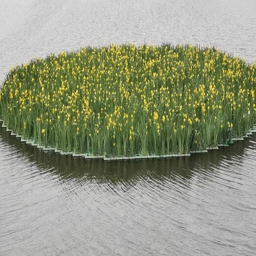 浮岛栽植水生植物图片