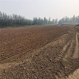图片0