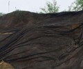 博尔塔拉覆盖绿网市场报价,工地防尘网
