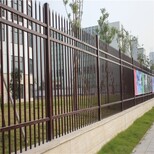 图片0
